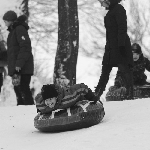 Photo #13781290