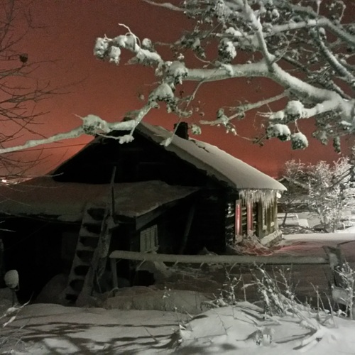 Photo #13781316