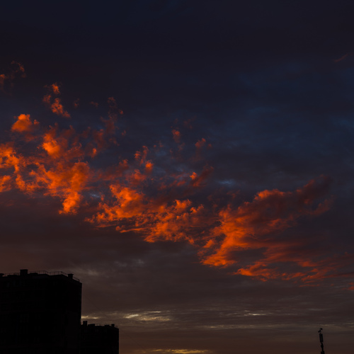 Photo #13781326