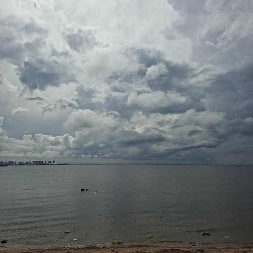 Photo #13781331