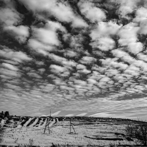 Photo #13781364