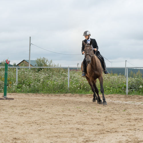 Photo #13781410