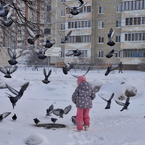 Photo #13781470