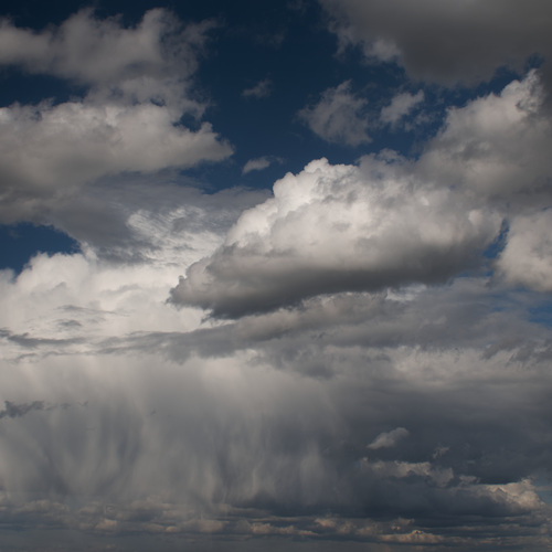 Photo #13781486
