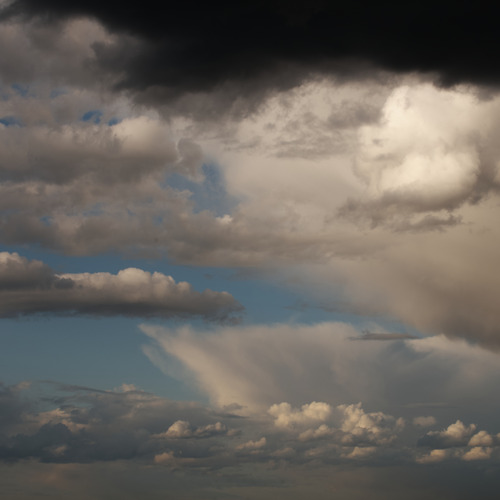 Photo #13781495
