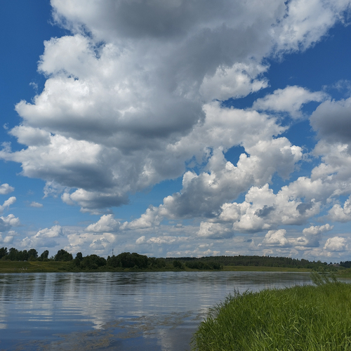 Photo #13781504