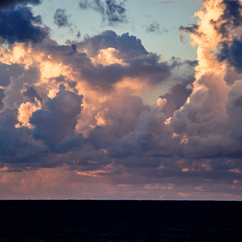 Photo #13781512