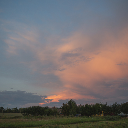Photo #13781536