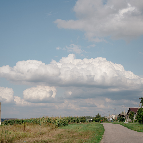 Photo #13781542