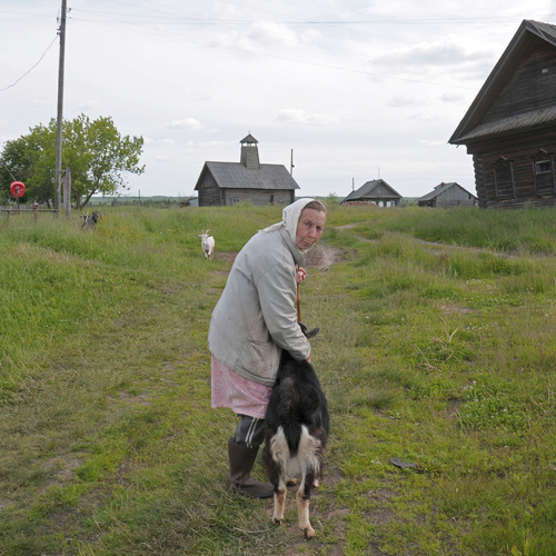 Photo #13781573