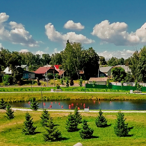 Photo #13781623