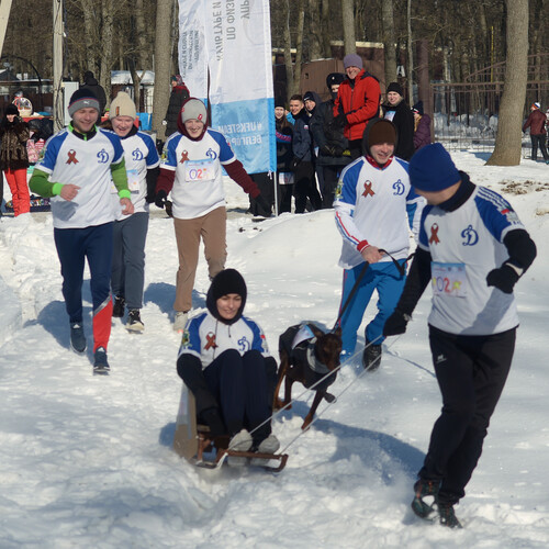 Photo #13781653