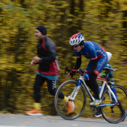 Photo #13781655