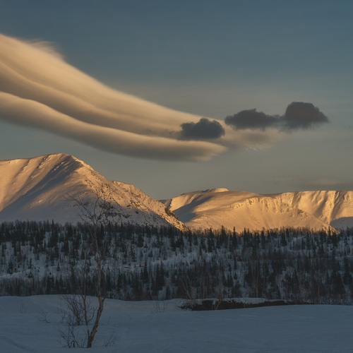 Photo #13781694