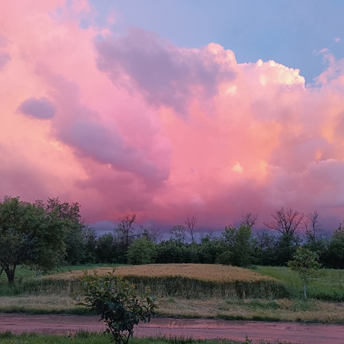 Photo #13781698