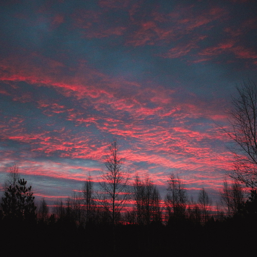 Photo #13781803