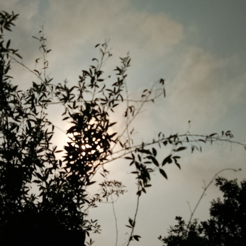 Photo #13781956