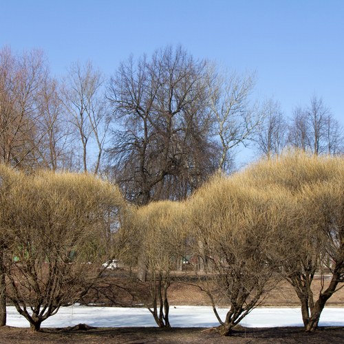 Photo #13782048