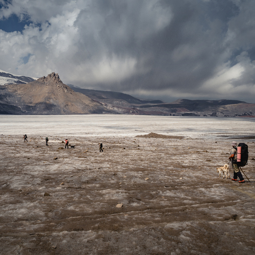Photo #13782134
