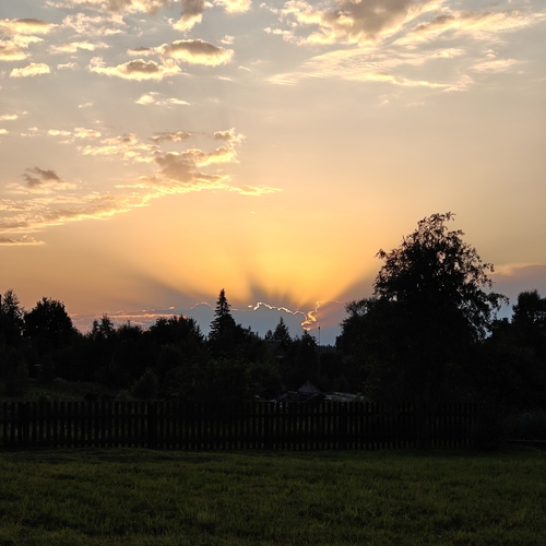 Photo #13782139