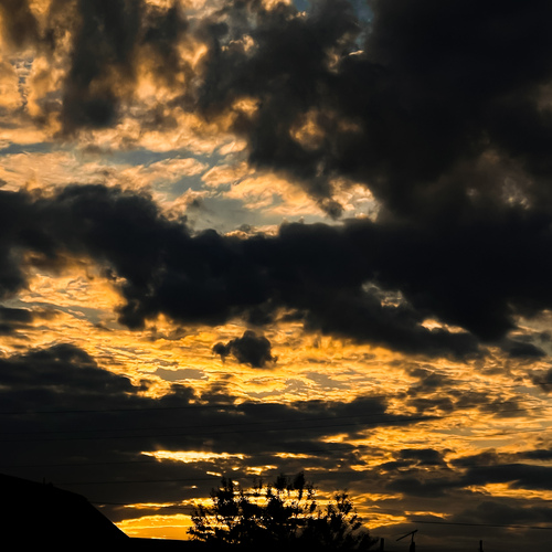 Photo #13782166