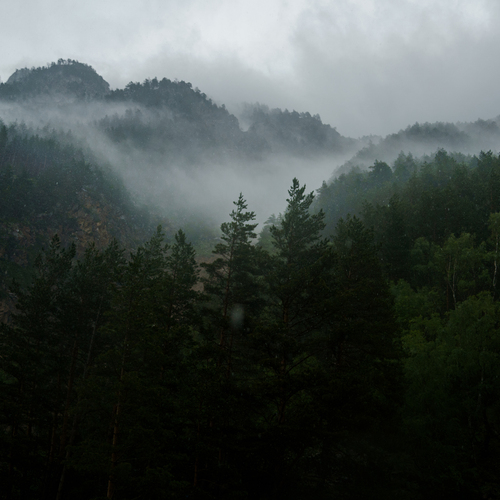 Photo #13782167