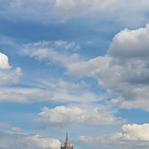 Photo #13782196