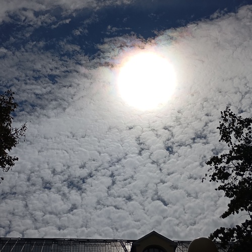 Photo #13782197