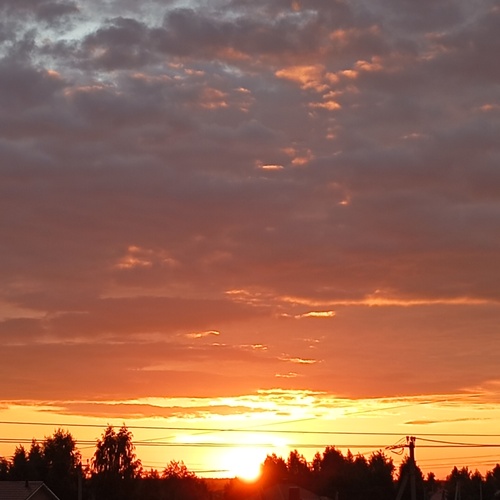 Photo #13782209