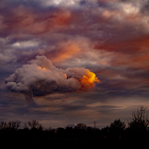 Photo #13782211