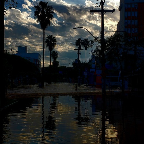 Photo #13782220