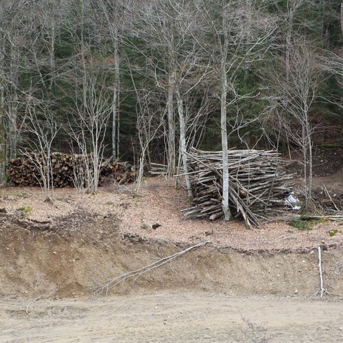 Photo #13782221