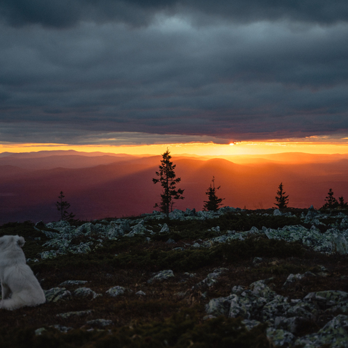 Photo #13782230