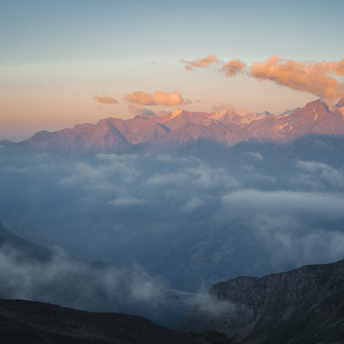 Photo #13782232