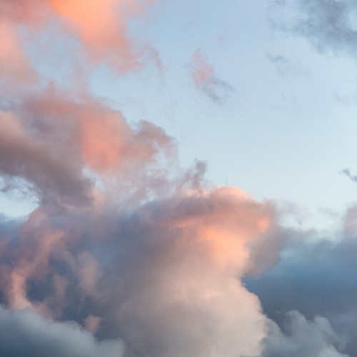 Photo #13782236