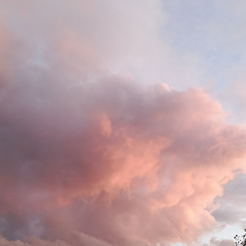 Photo #13782237