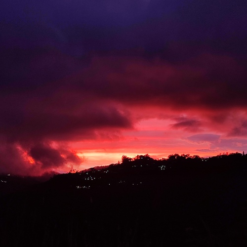 Photo #13782243