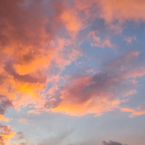 Photo #13782244
