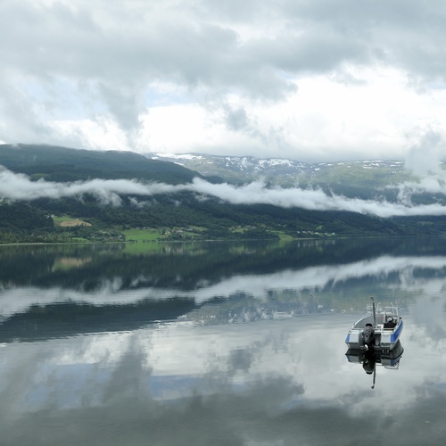 Photo #13782247