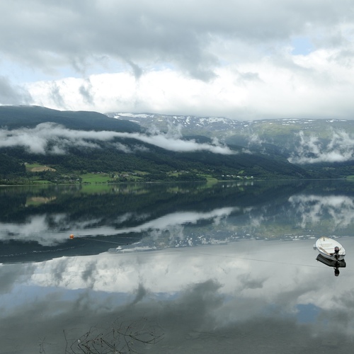 Photo #13782248