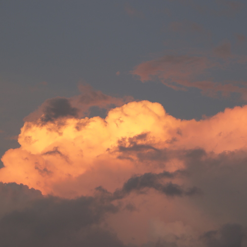 Photo #13782251