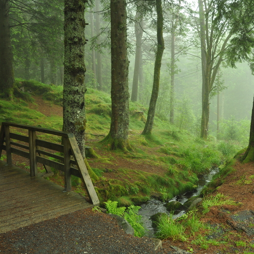 Photo #13782254