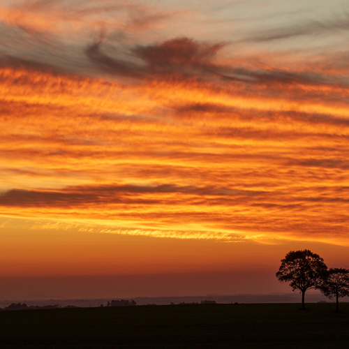 Photo #13782256