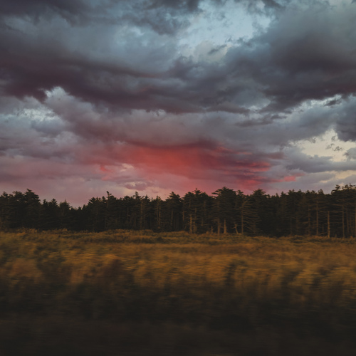Photo #13782300