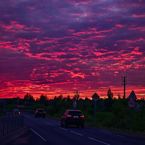 Photo #13782309