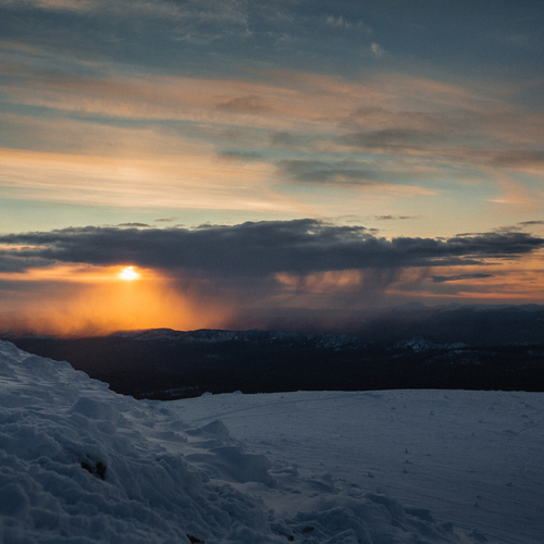 Photo #13782320