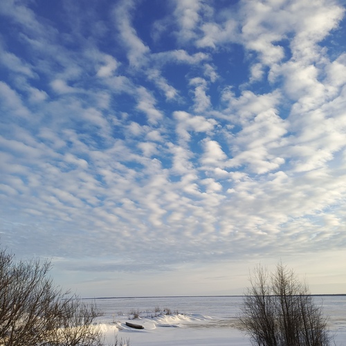 Photo #13782332
