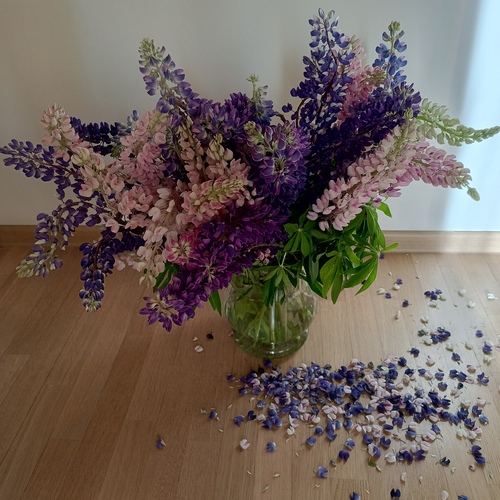 Photo #13782336