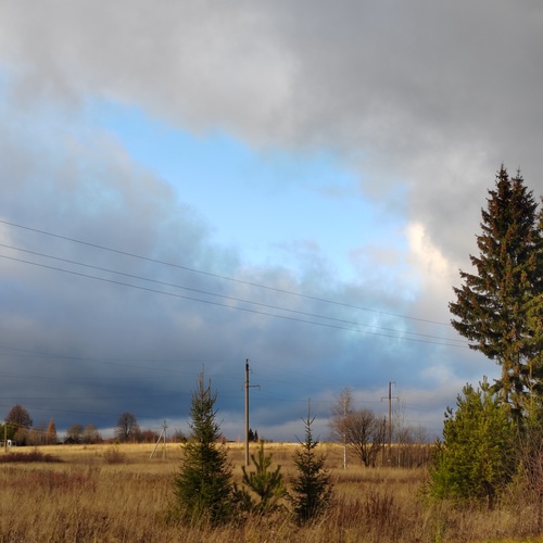 Photo #13782369