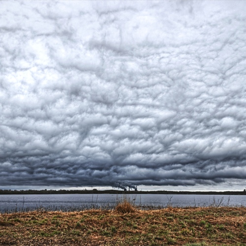 Photo #13782382
